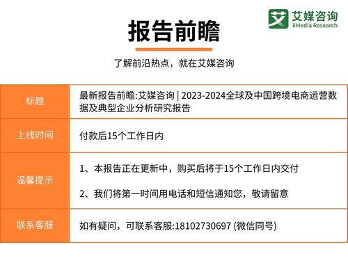 2023-2024年全球及中国跨境电商运营数据与典型企业分析报告