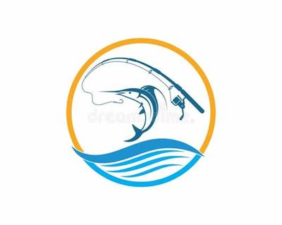 从零开始建网站 市场调研先行，开启事业与财富双丰收之路