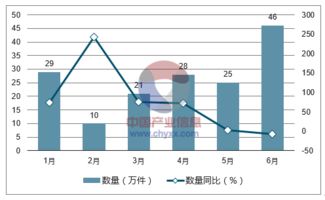 2018-2024年中国裘皮服装行业全景调研及产业竞争格局报告