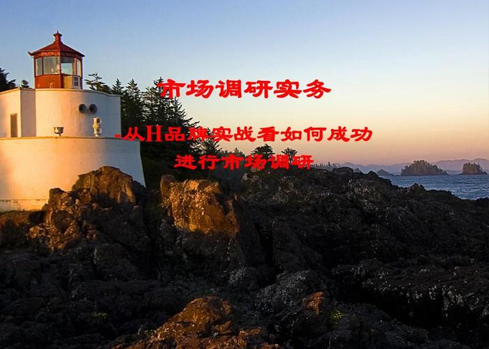 市场调研案例课程ppt