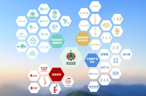 云南白药爆发窝案 原董事长王明辉等5位前高管被调查